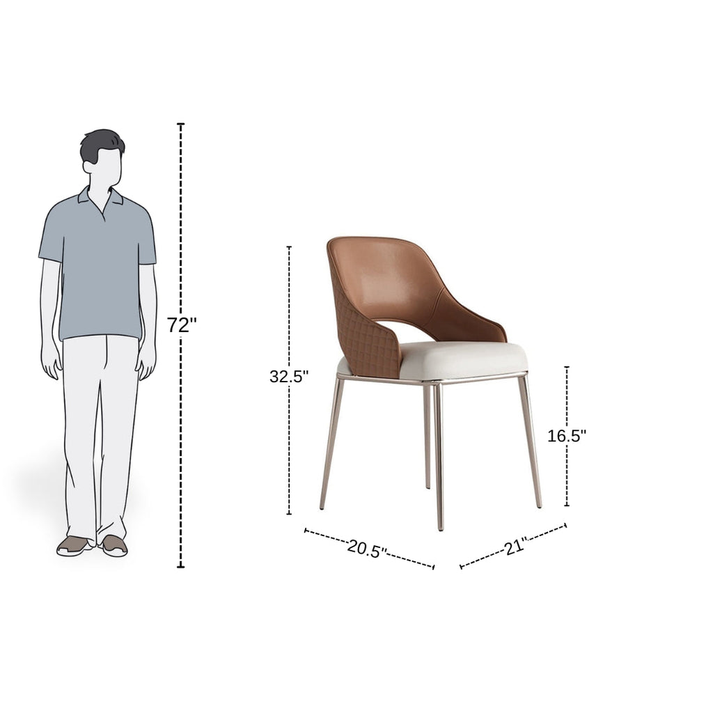 Stylish Curved Back Minimalist Dining Chair