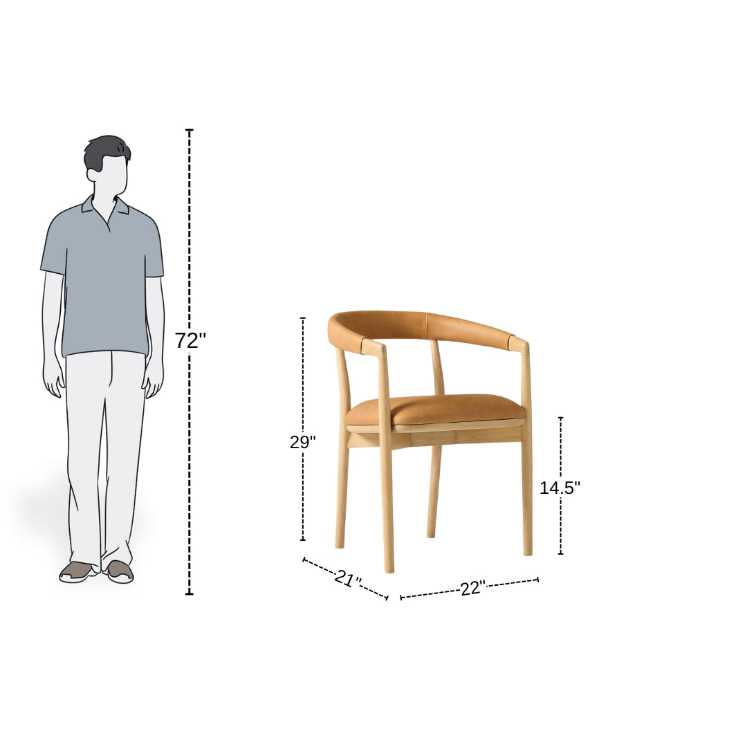 Modern Brown Leather Wooden Dining Chair