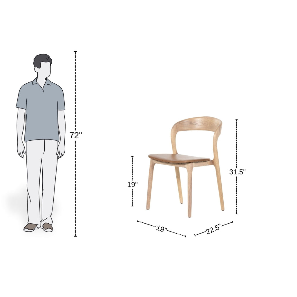 Oak Curve Dining Chair