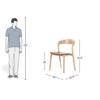 Oak Curve Dining Chair