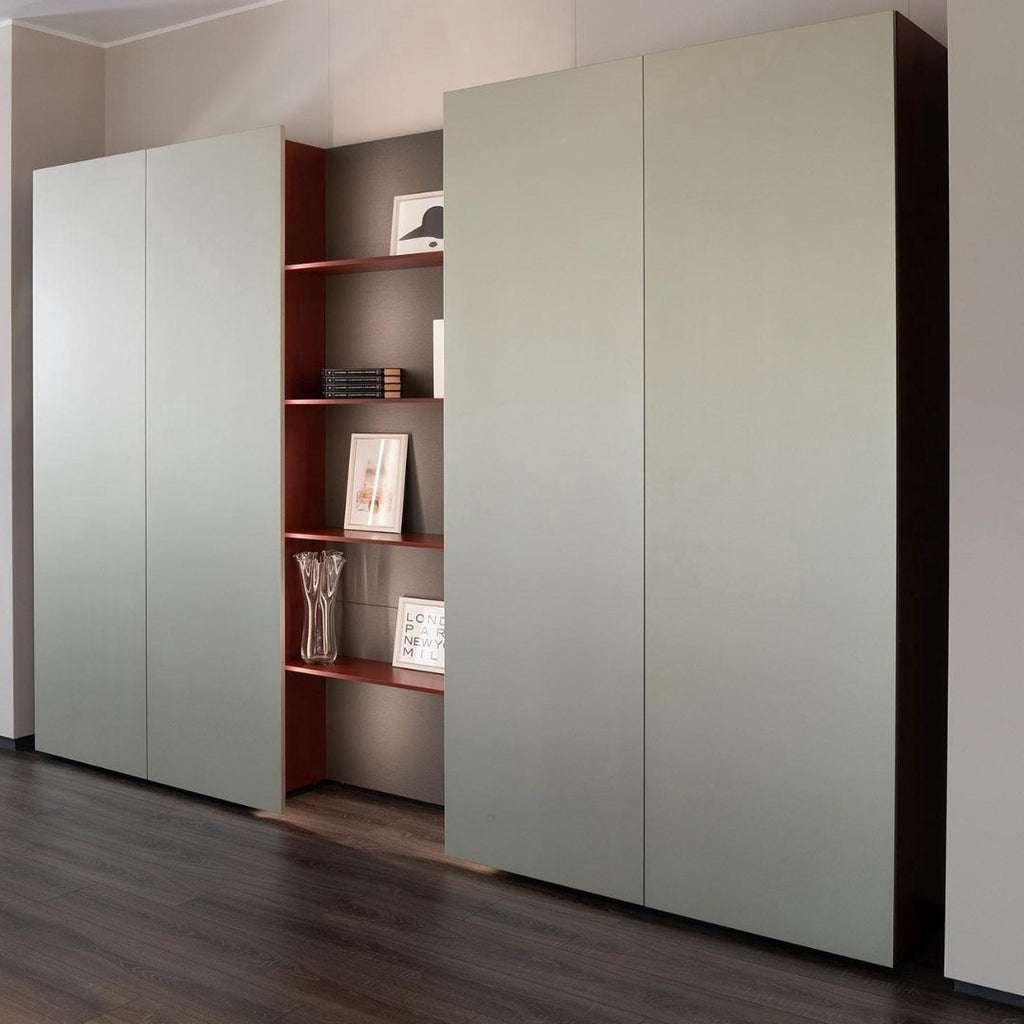 Sleek Minimalist Wardrobe With Display Shelving