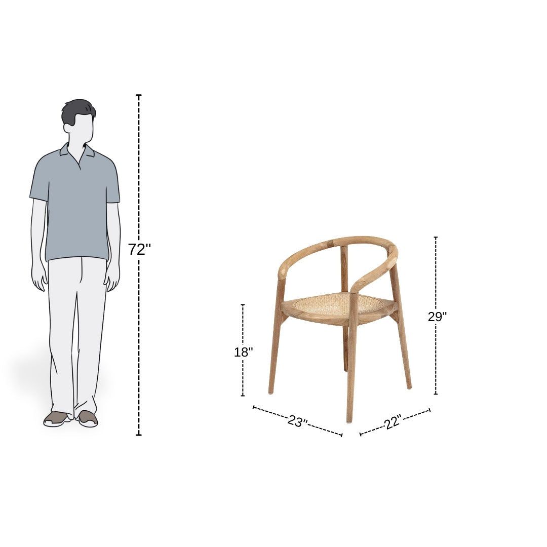 Rattan Arc Dining Chair