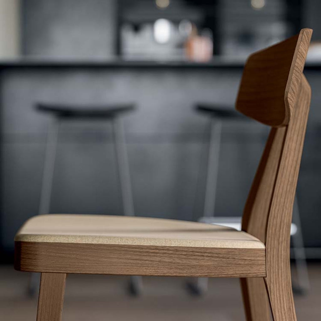 Modern Matte Charcoal Dining Chair